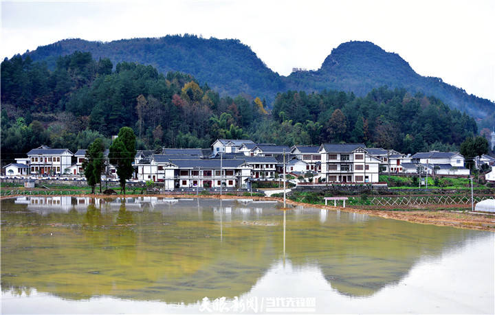 走进进化镇临江村,山上云雾缭绕,溪水环绕村庄,好似一副美丽的山水画.