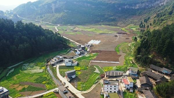 习水桃林镇抓好春耕促生产粮食安全有保障