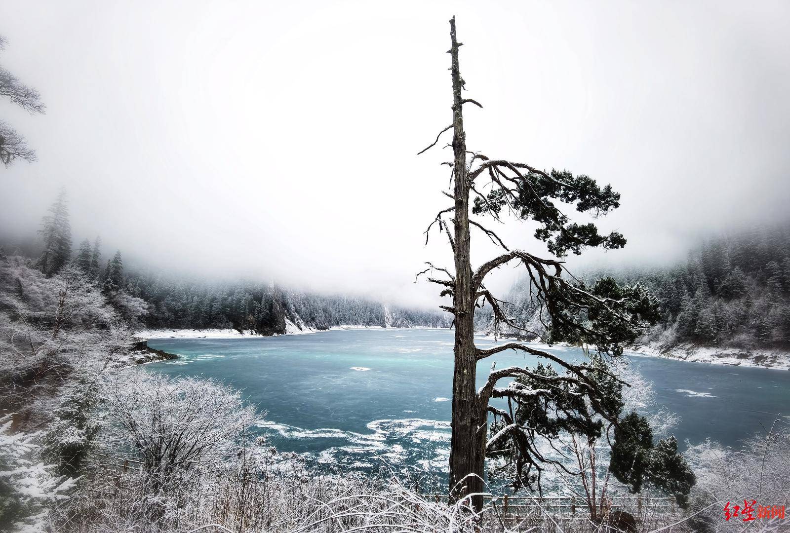 海子|三月桃花迎雪盛开！下月起，九寨沟将实行旺季门票价