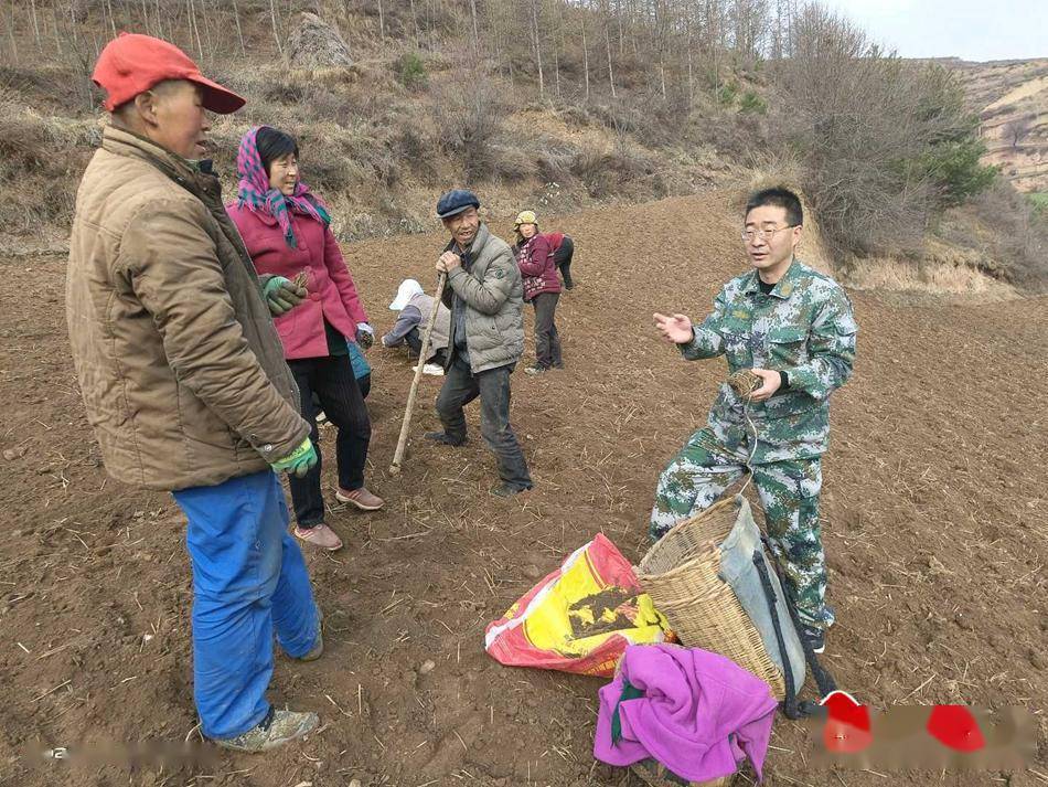 武山县沿安乡书记图片