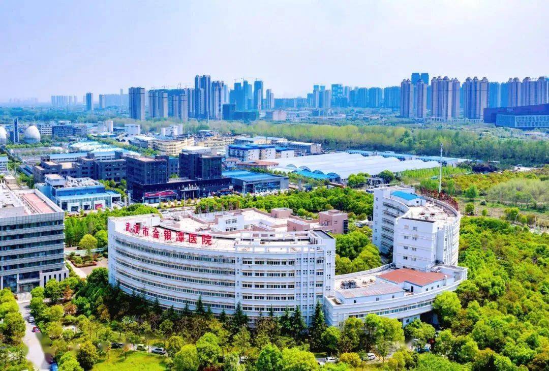 保利云璟周边多家三甲综合性医院,包括武汉市金银潭医院,武汉市第八
