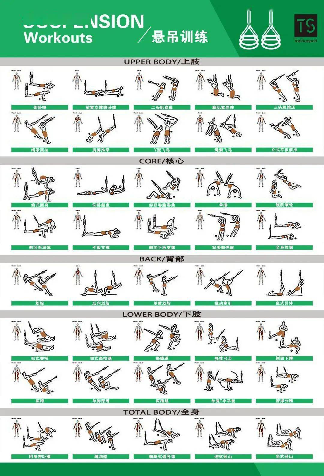 体能训练动作库图解大全值得收藏