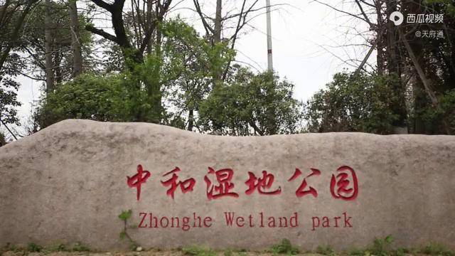 成都中和湿地的春色