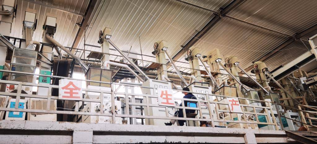 智慧大米、数字农田、无人农场——在安徽繁昌体验智慧春耕的N种“姿势”