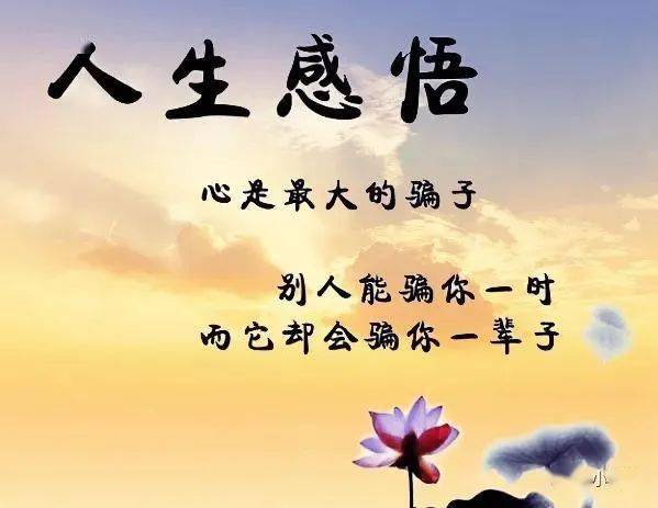 只有自己领悟的才叫人生