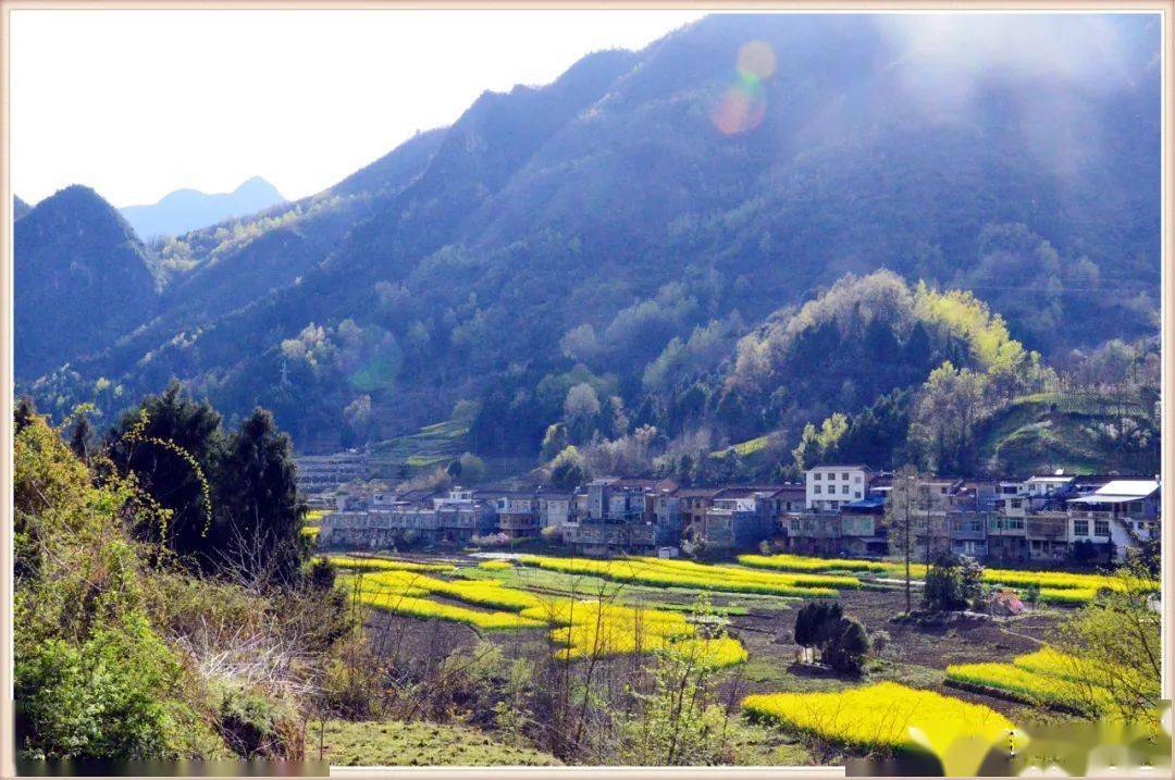 花开正好,汉中高川镇春意正盎然_高山碧_沐浴春_西乡县