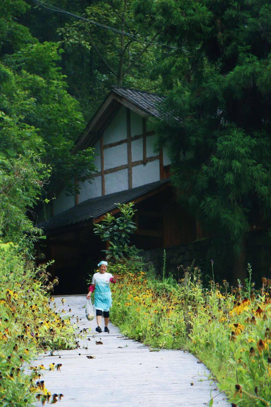 跟着你好生活打卡世外桃源里的民宿丨贵州习水隐居乡里梧桐山