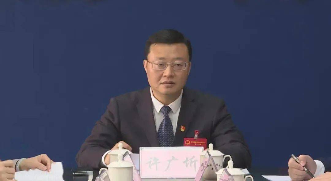 区委书记许广圻参加雷岭代表团分组讨论