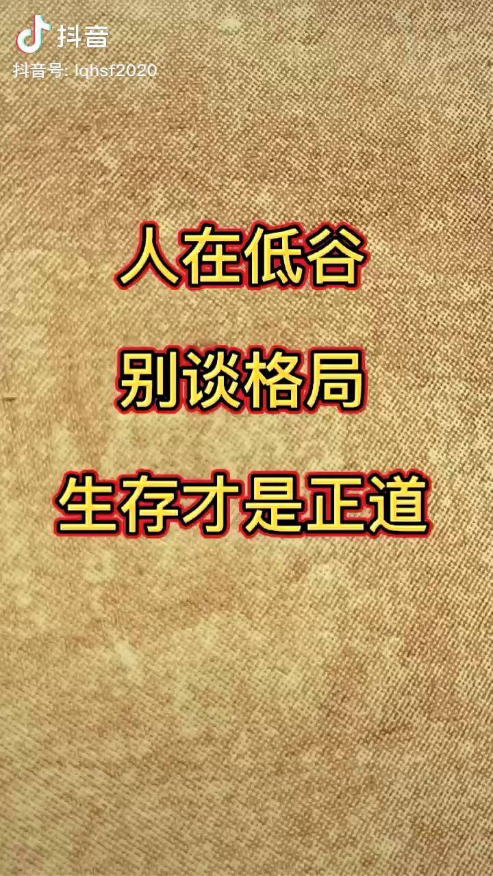 身處逆境別談情懷務實才是根本人生感悟勵志情感