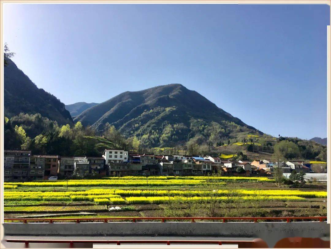 花开正好,汉中高川镇春意正盎然_高山碧_沐浴春_西乡县