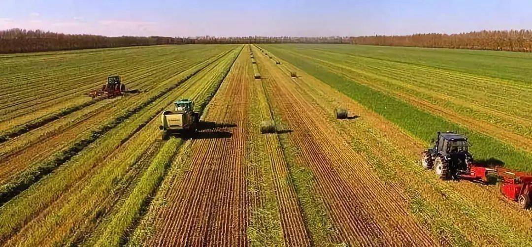 关于农业耕作的一些概念,附绿洲农业与灌溉农业辨析_种植制度_农作物