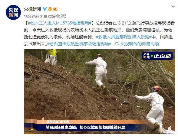 现场画面丨伐木工人进入MU5735救援现场