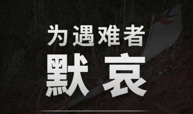 原创全员禁娱为东航mu5735遇难者默哀本周末超20档综艺暂停播出
