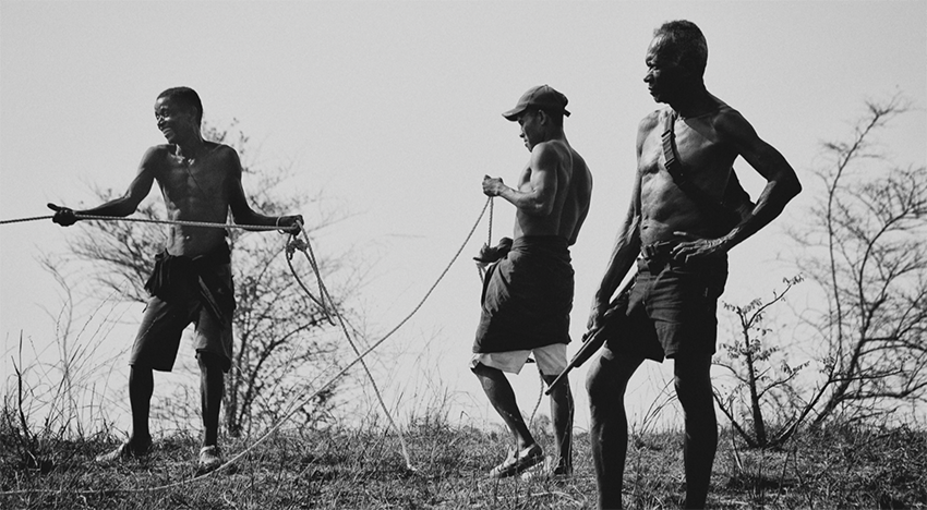 摄影|第65届荷赛获奖作品发布——非洲区（完整版）