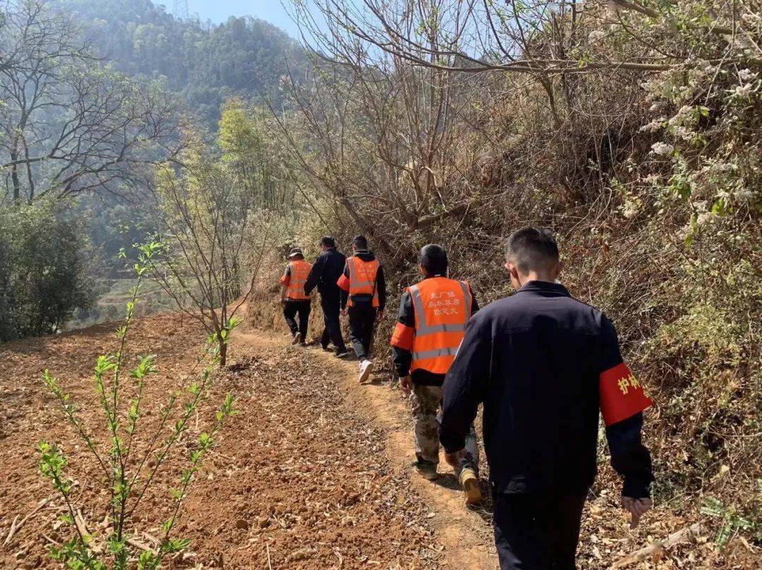 軍警民聯合巡邏 共護綠水青山_防火_森林_市公安局