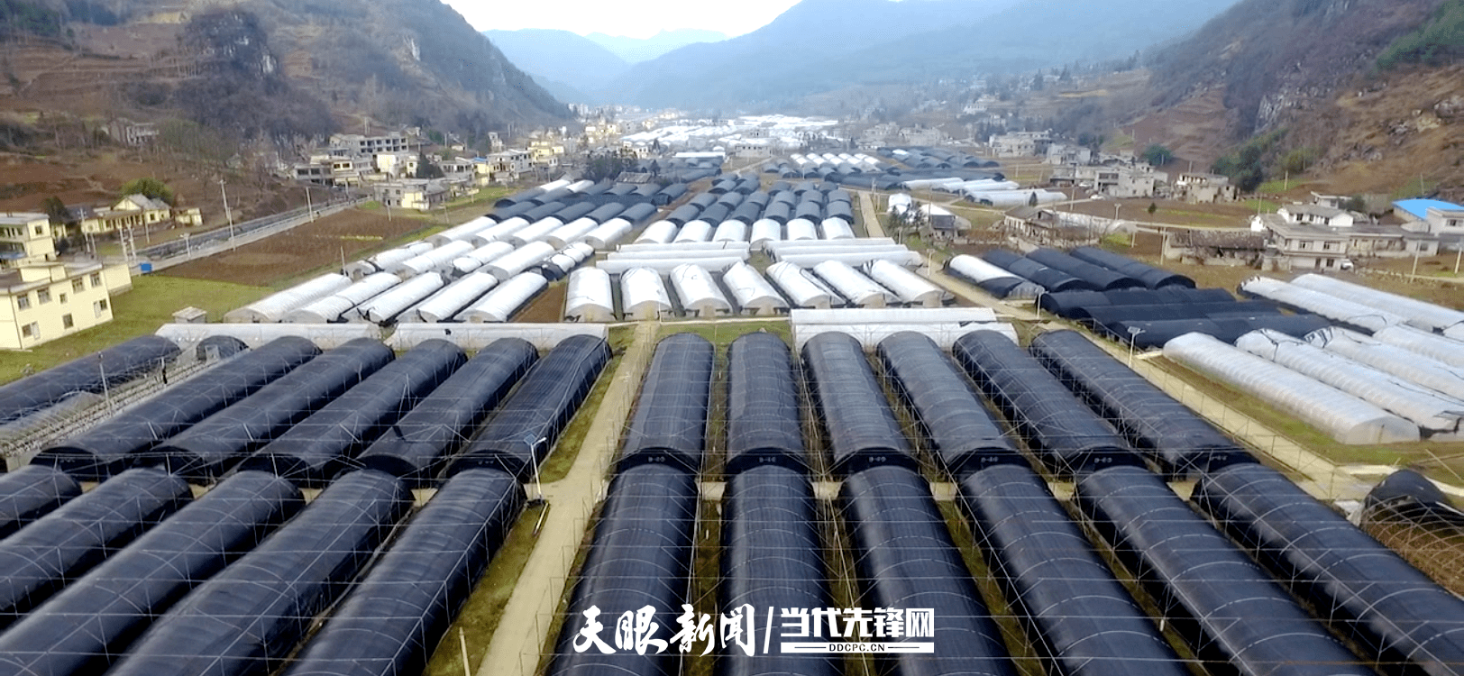 每周四次一次一小时赫章县结构乡开展集中学习基层干部齐充电积蓄发展