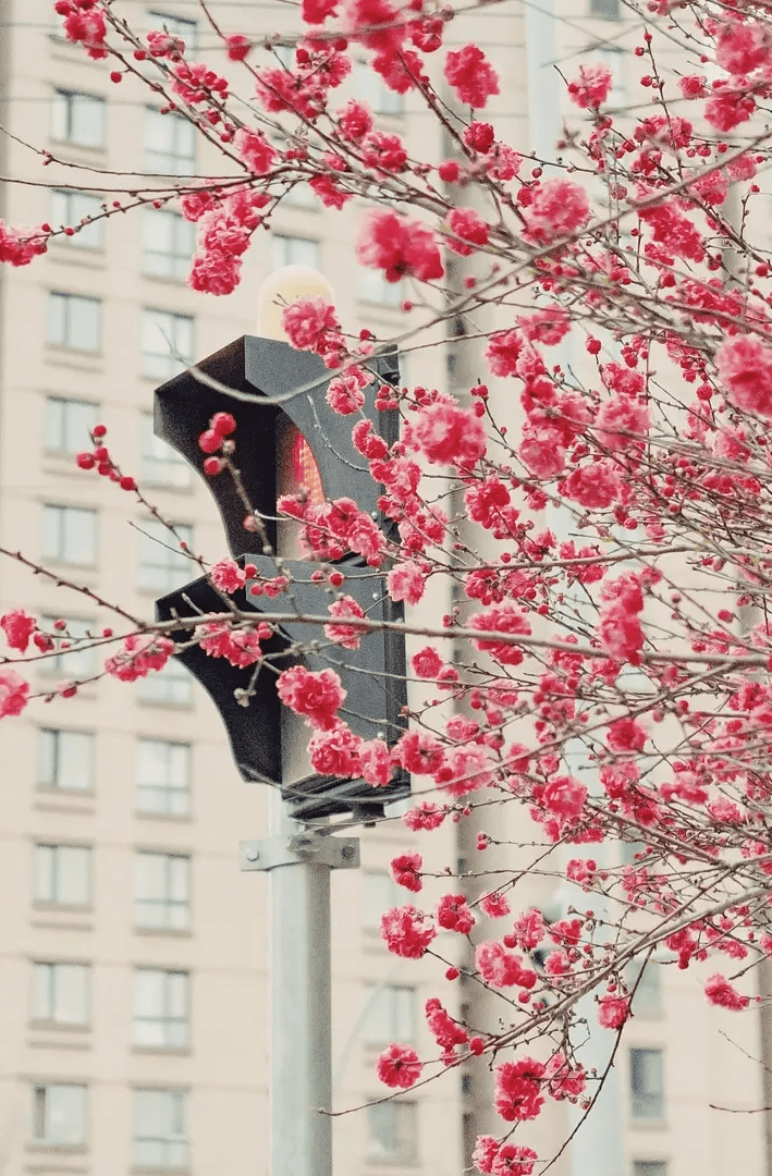 photo服气！豆瓣上的「民间摄影大神」太会拍了！