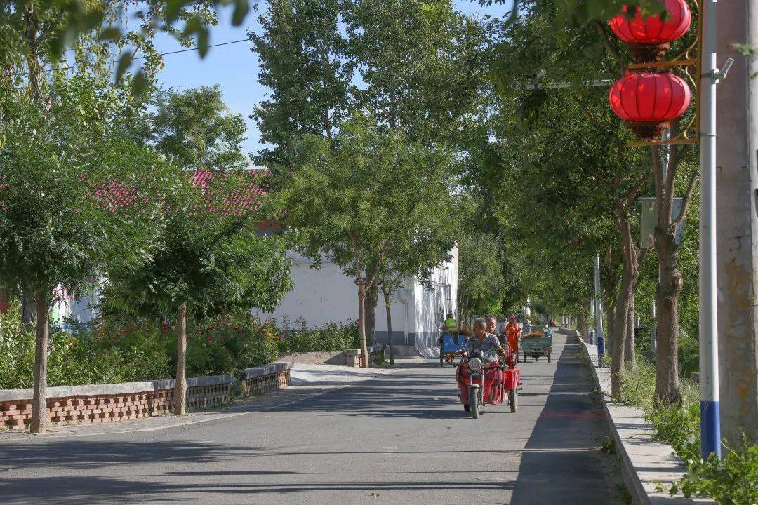 小积分带来大变化礼贤镇龙头村积分兑出乡村治理新面貌