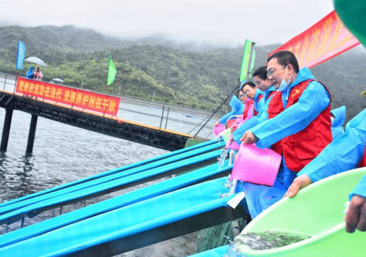 140萬尾魚苗入海,廣東農技服務鄉村行_增殖_海域_生物