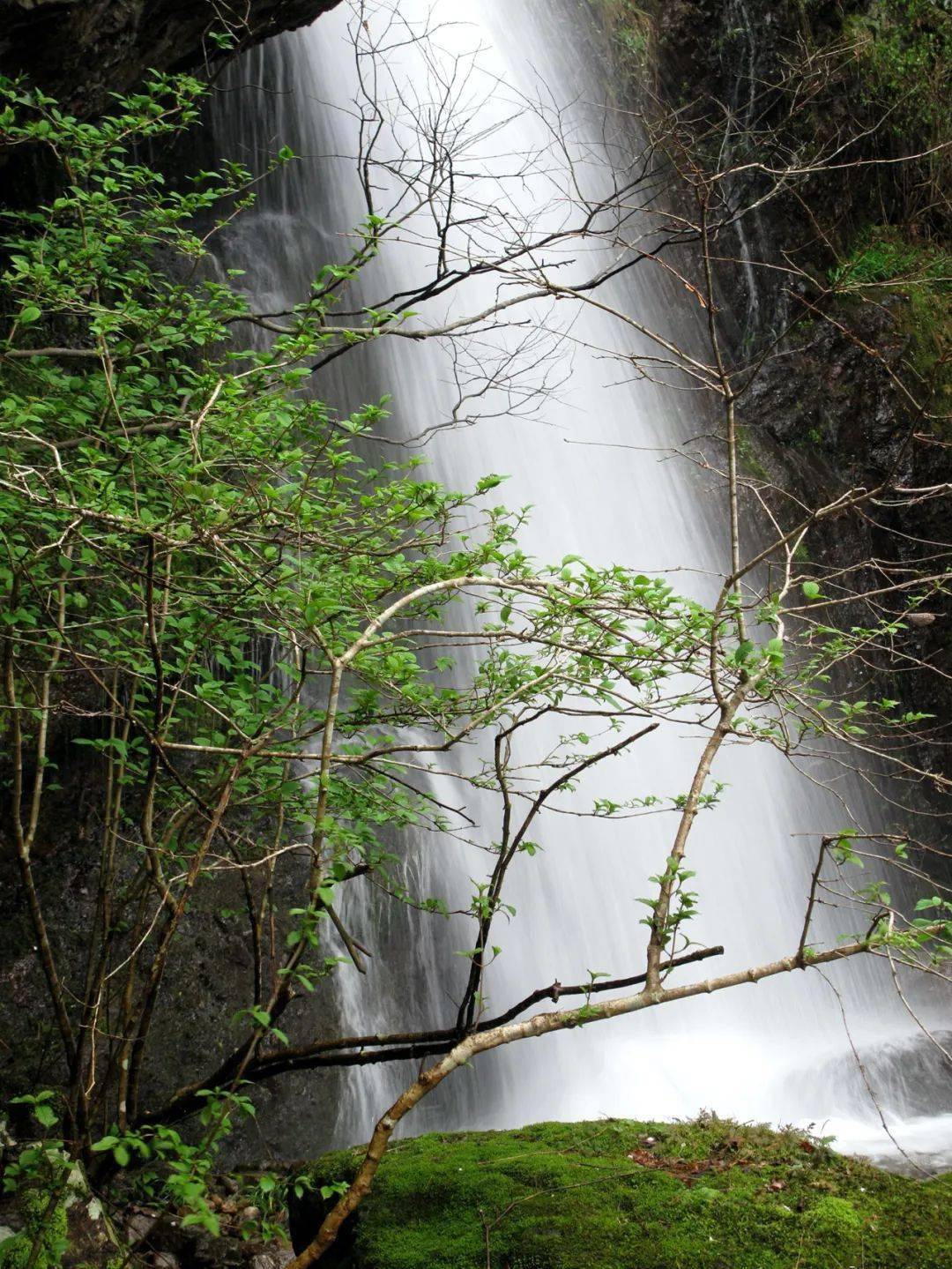 暴雨后在龙观岩门瀑布看壮观水景