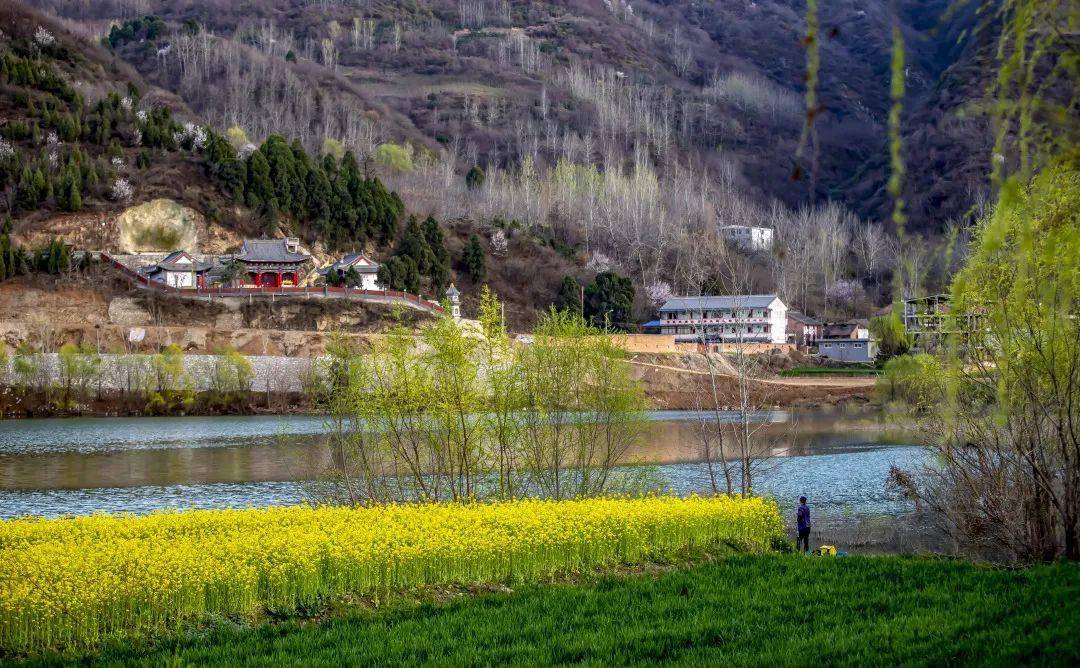 大美周至秦岭春早