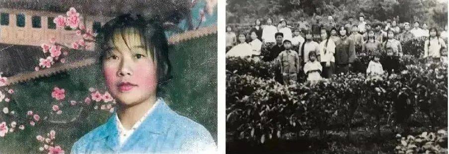 功效|好香！是春天的味道！