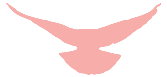 相聚云端,同心抗疫,红色传承——我校举行“云升旗仪式”