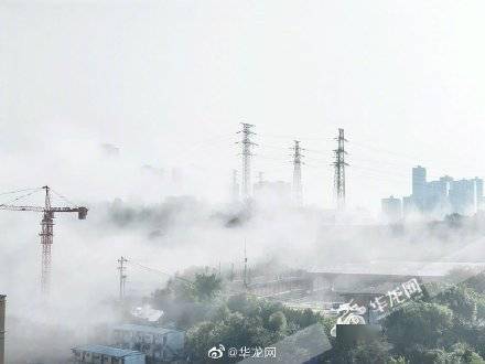 组图 | 宛如仙境！今晨重庆的雾，你爱了吗？