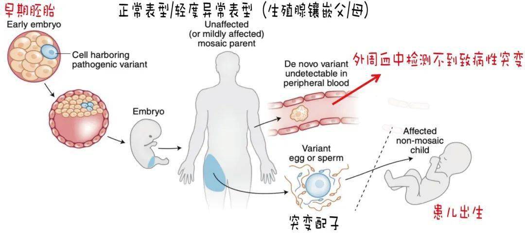 来自搜狐网