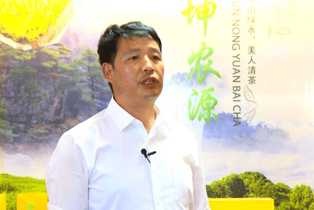 镇雄罗坎镇昔日荒山变茶山产业旺村民富上篇