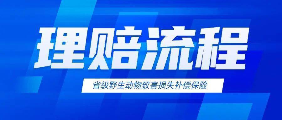 【关注】遭受野生动物伤害可获赔偿了_补偿_保险_斑鸠