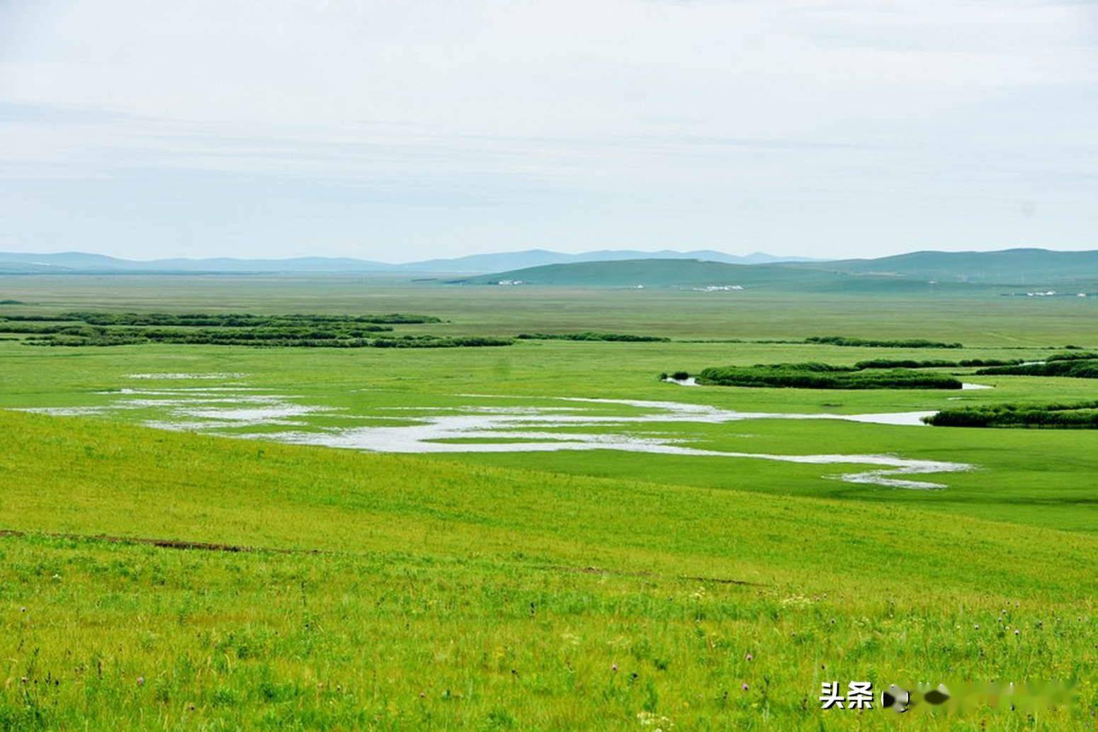 格格锡林郭勒大草原图片