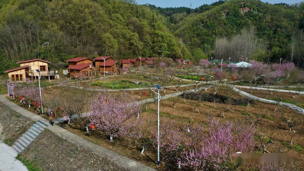 采风活动第一站是位于三官殿街道办狮子岩村的桃花岛,因为地势较低的