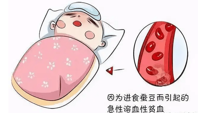 科普胡豆黄是什么黄馋豆病又馋的是什么豆烦人的蚕豆病你真的了解吗