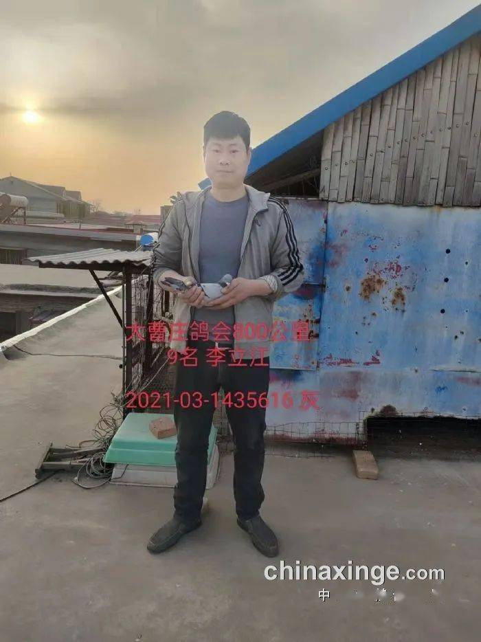 河北大曹庄鸽会800公里 飞出1580高分速_从中学_信鸽_教科书