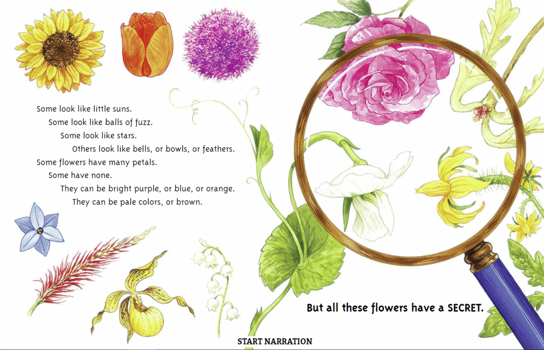 绘本故事植物的秘密