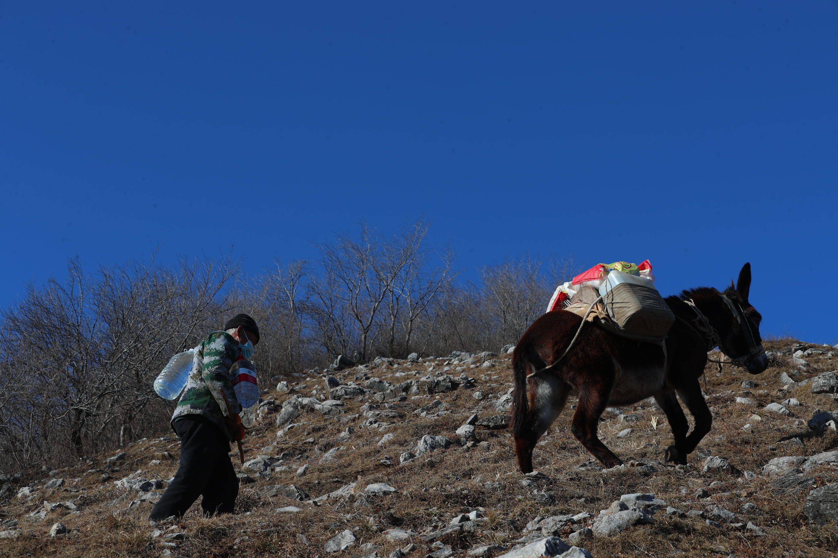 小毛驴是运送补给的主力,每次上山都不可或缺