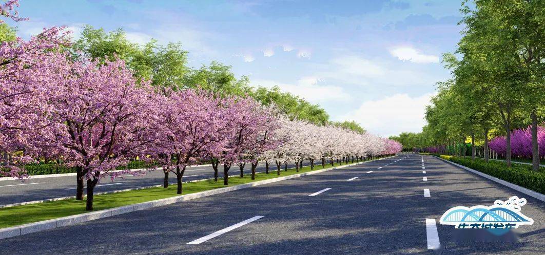 滨海新区将建6条特色景观大道