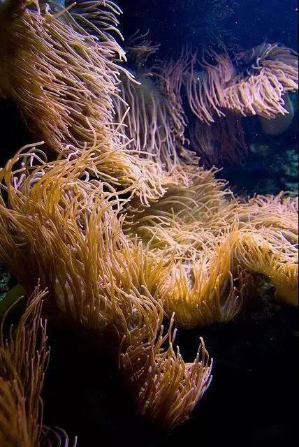 全世界不能错过的水族馆柏林水族馆