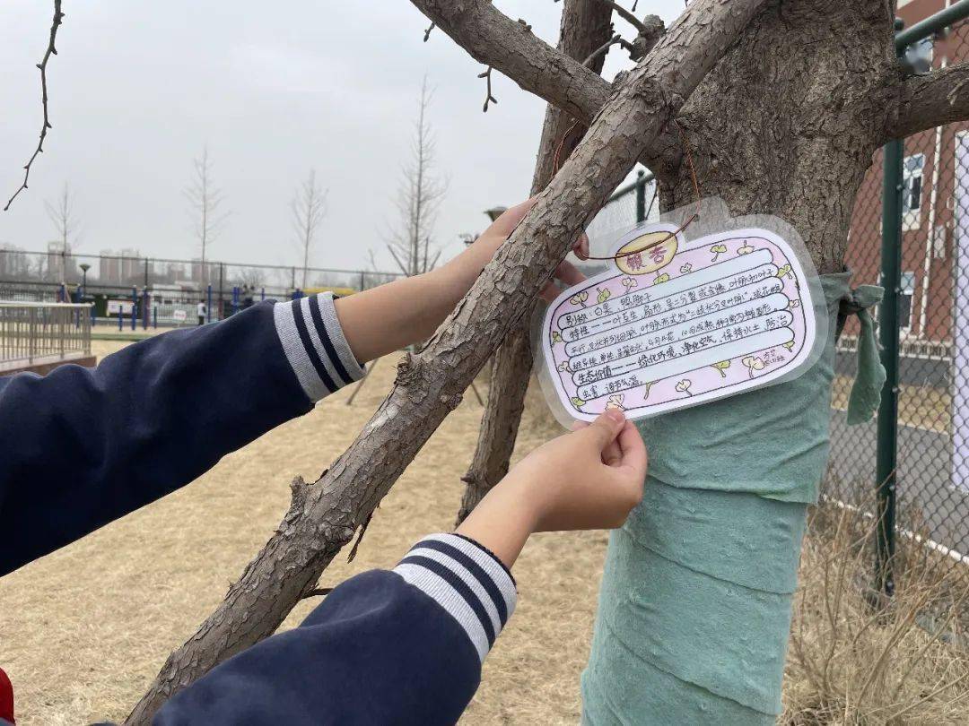 (向左滑动,查看更多)如果没有植物名片很多花又都长得差不多很难清楚