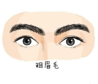 这五种眉毛注意了一辈子最富贵财运满满不缺财