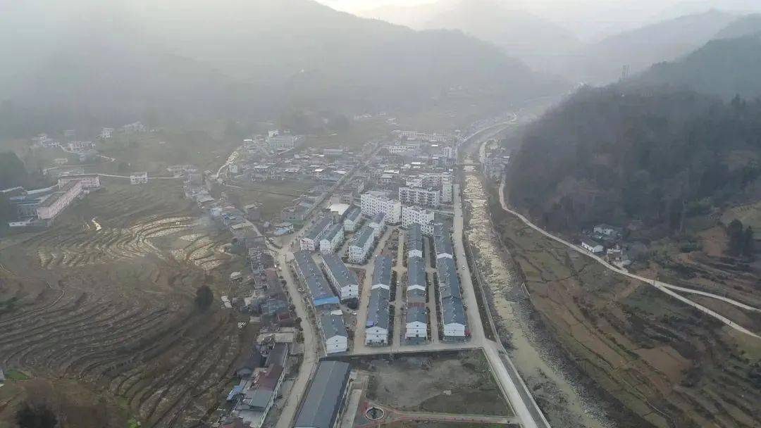 镇巴碾子大力发展特色农业产业助力乡村振兴