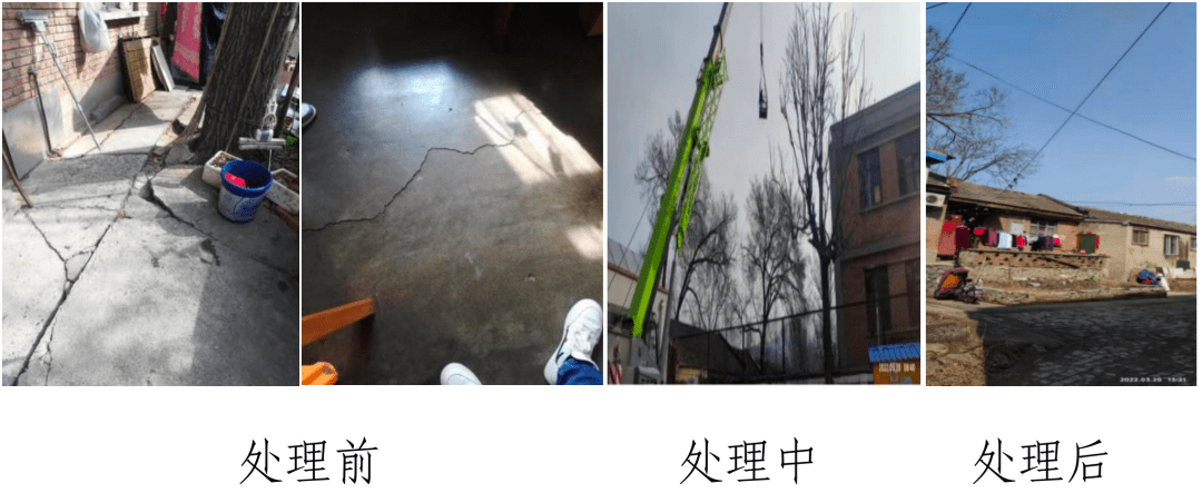 市民反映,石景山区五里坨街道高井甲32号院内平房前的树木生长过盛