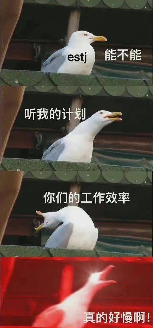 信mbti的人贡献了今年一半的表情包_测试_人格_爱凌