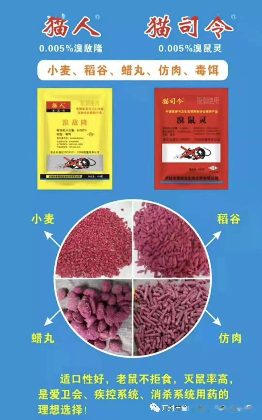 病媒防制春季灭鼠正当时一起来看灭鼠攻略