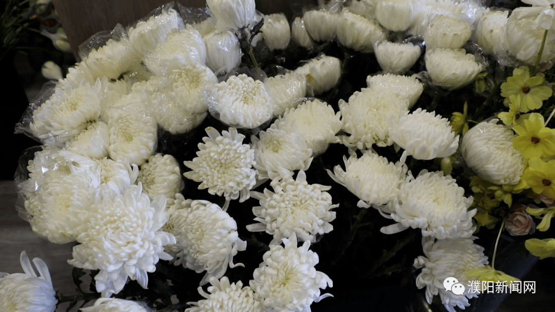 文明祭祀鲜花走俏_预定_花束_方式