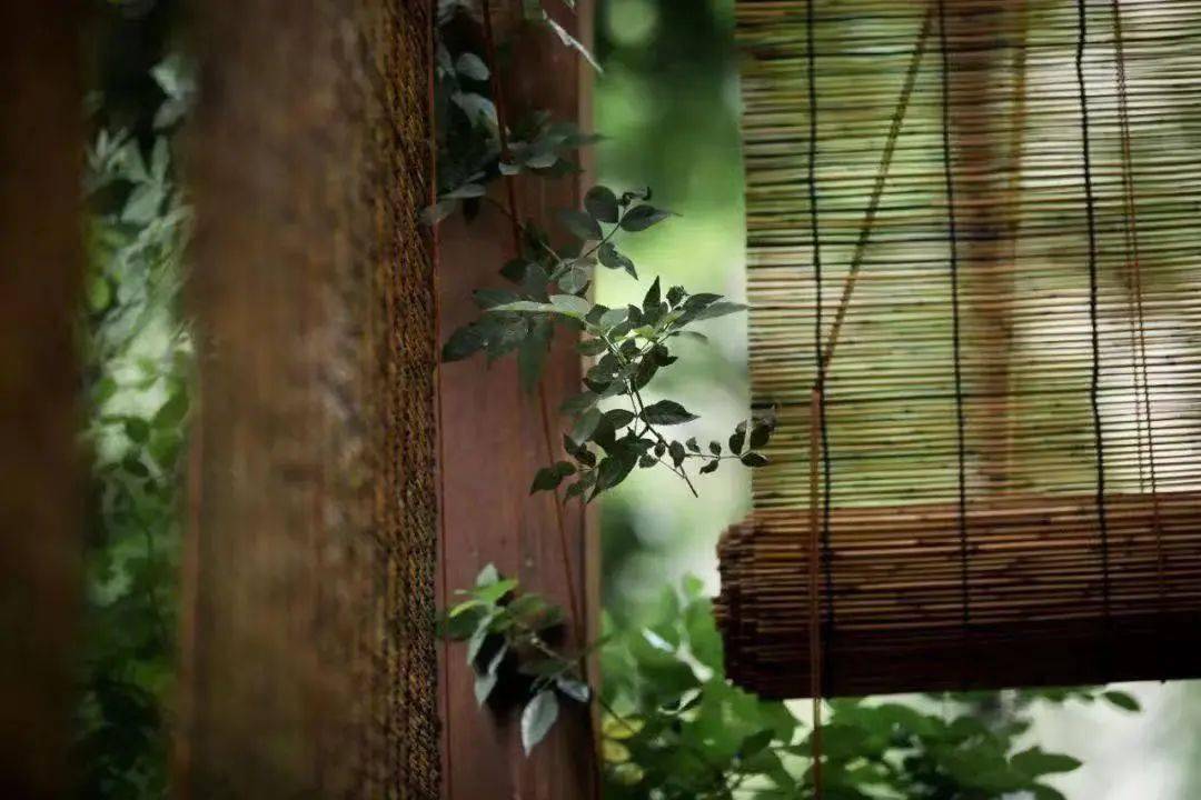 7首安然诗词心若无尘心自安三千烦恼一笑间