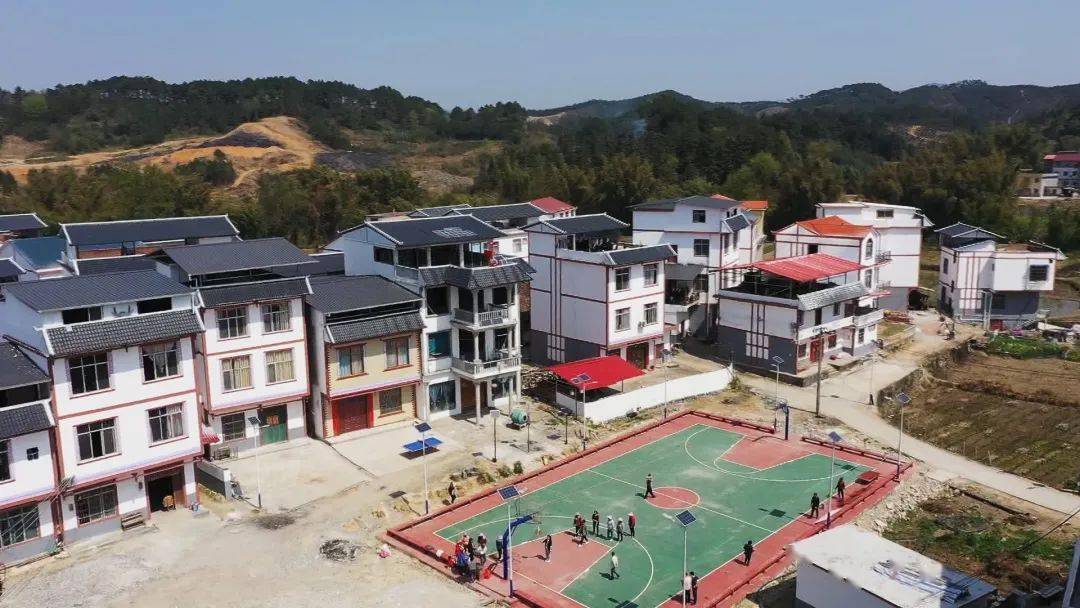 环江这个屯的"颜值"真高!村民:嫁过来很幸福_改造_洛阳镇_工作