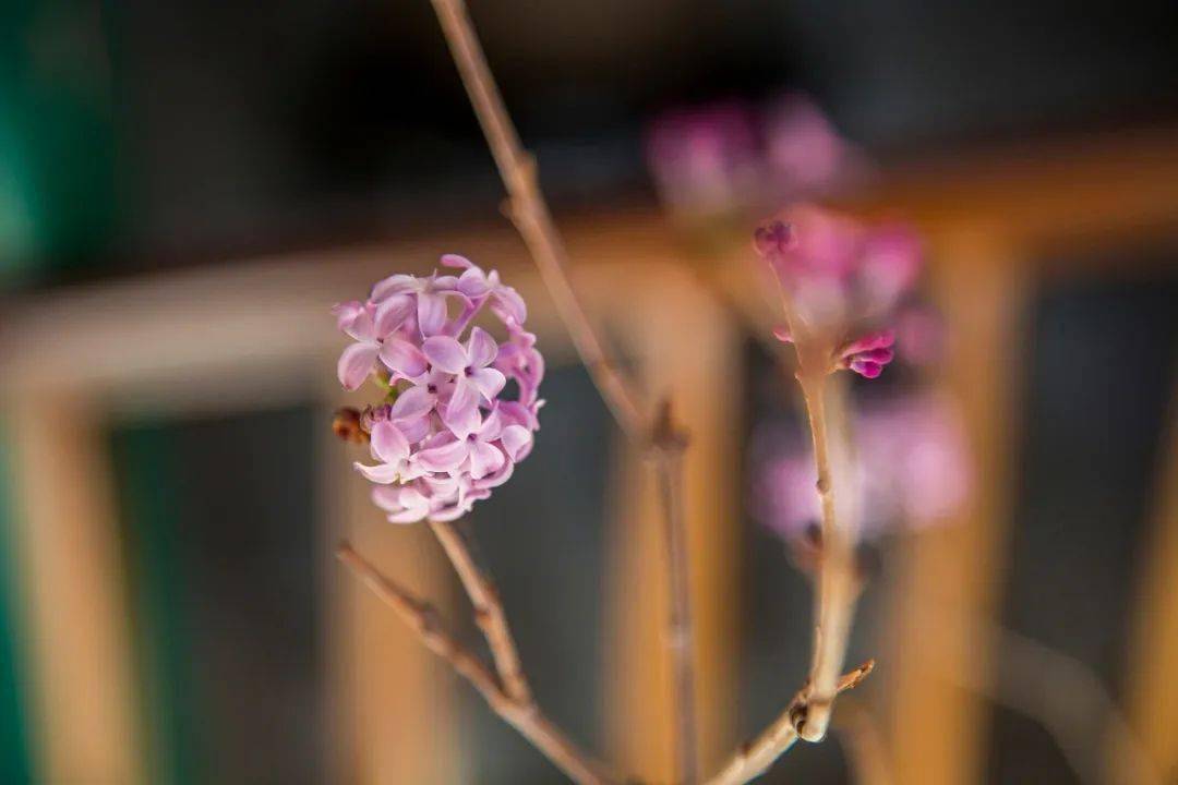 《念奴嬌·赤壁懷古》人生如夢,一尊還酹江月.