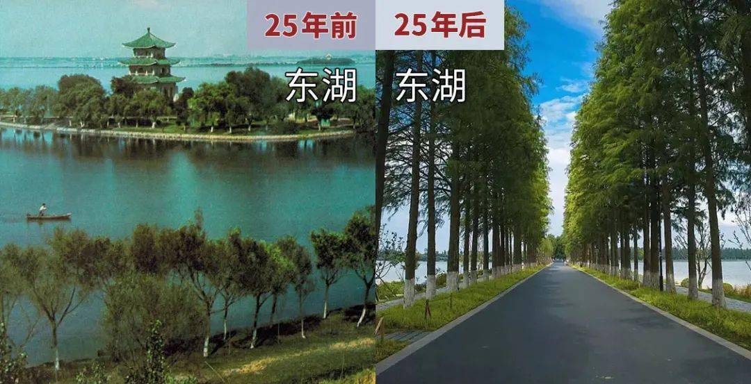 当春天从地底缓缓窜出,25年前的四月天可能是这样的.